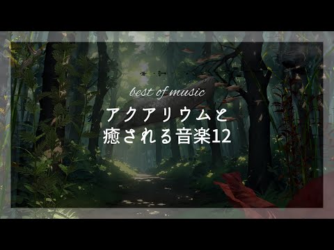 作業用BGM｜アクアリウムを眺めながら癒やしの音楽を聞くpart12。/Work BGM｜Listen to soothing music while looking at the aquarium.