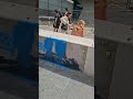Why Do People Vandalize Famous Art? 🎨😱 #art ##london