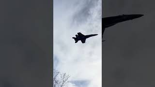 Blue Angels F-18 Sneak Pass #Shorts #Blueangel #Planes #Cool #Lowpass #Fast #F18Superhornet #F18