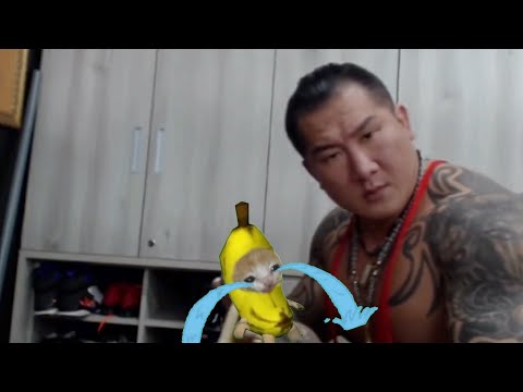 被糟蹋的香蕉貓