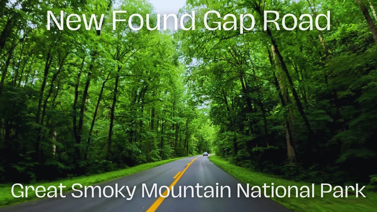 Newfound Gap Road | Scenic Drive Through Great Smoky Mountains National Park.