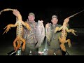 Caza Y Pesca De Reptiles Nocturnos Con Mira Termal