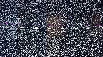 Universe visualization prototype inside the Grand Data Observatory