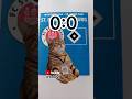 Derby #Meme #MemeCut #CapCut #txoivi #derby #hsv #langweilig #Hamburg #HH