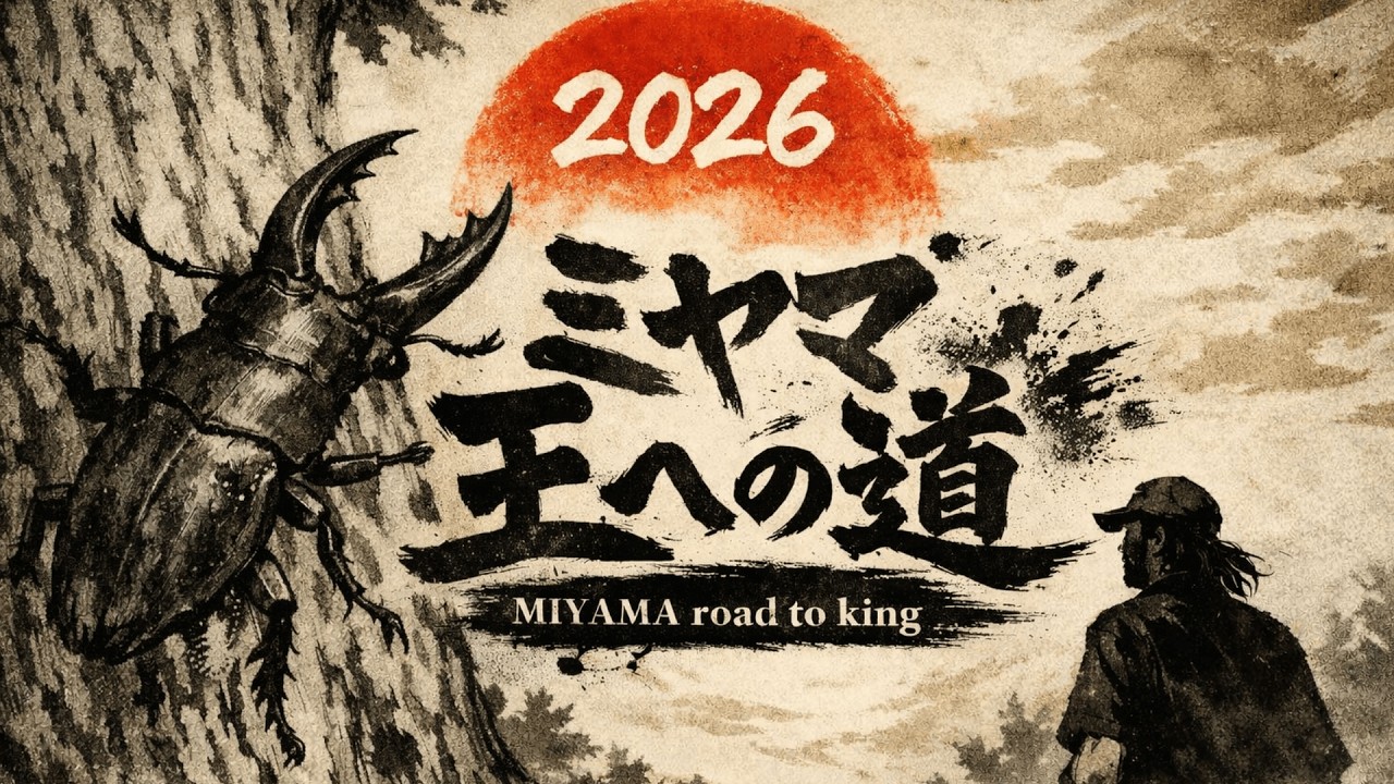 クワガタ採集】ミヤマ王への道 2026 クワガタに夢を追い続ける男たち 
