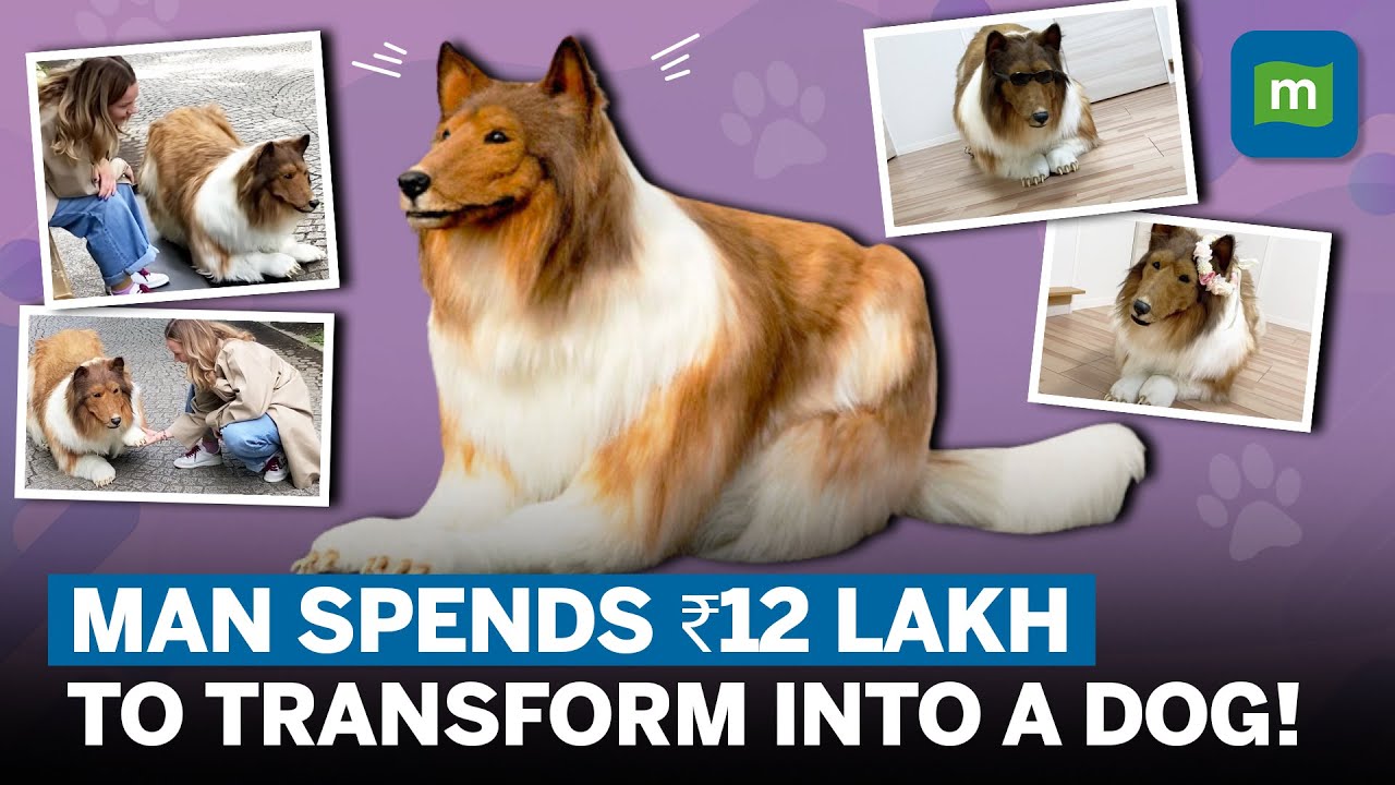 Japanese Man’s ‘Childhood Dream’ Of Converting to Dog Comes True After Spending ₹12 Lakh