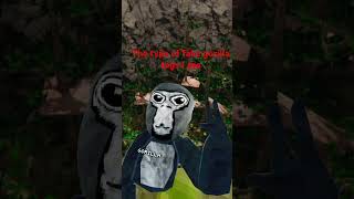 The type of trash I see #gorillatag #gorillatag #helpmemakethismakesense #roblox #gingy #robberybob