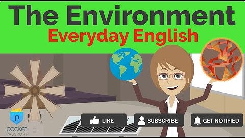 The Environment | Everyday English