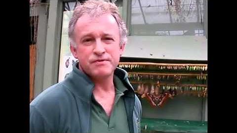 Why we support work based projects - David employer.mp4