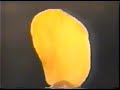 اعلان بطاطس ليون 2001 اعلان بطاطس ليون 2001
