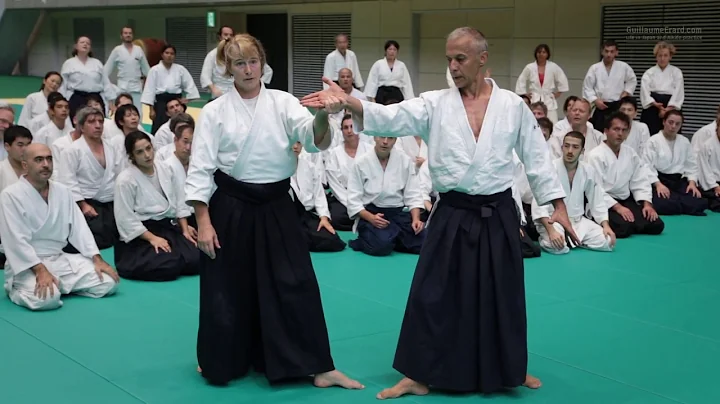 Aikido Class: Janet Clift 6th Dan - 12th IAF Congr...