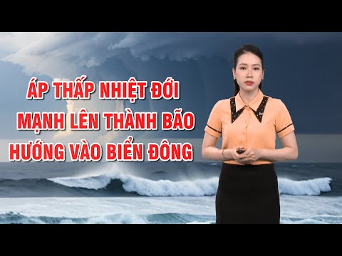 Bản tin thời tiết 17/12: Áp thấp nhiệt đới mạnh lên thành bão, hướng vào biển Đông