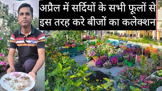 Flower Seed Collection From Flowers in April by Hamari Bagiya 4,307 views 1 month ago 19 minutes