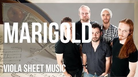 Viola Sheet Music: How to play Marigold by Caligula