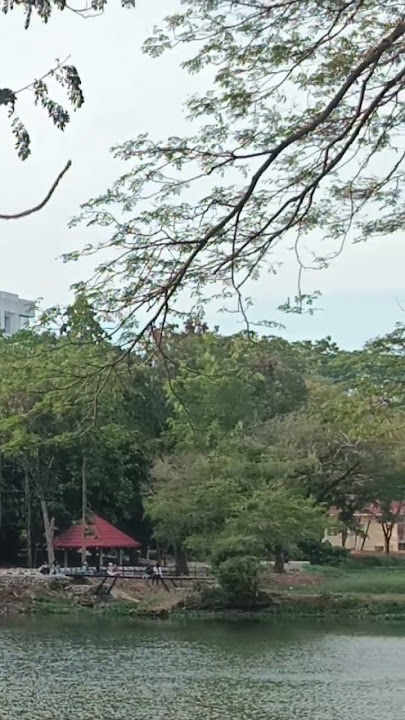 Terlambat Sudah Kau Datang Padaku - Panbers #music #musik #liriklagu #lagu #pantai #panbers