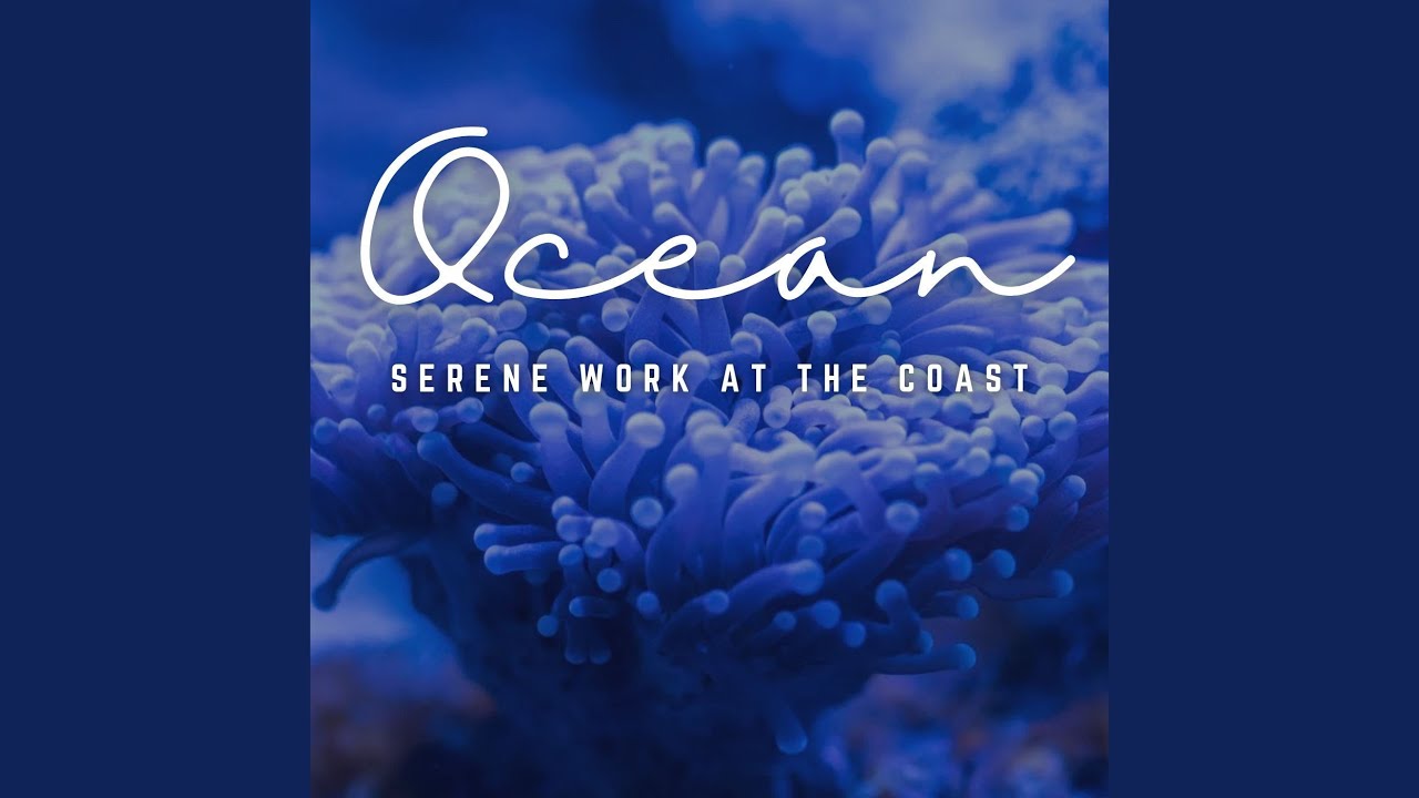 Coastal Office Productivity