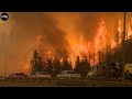 Forest Fire Near Residential Areas Very Dangerous Caught on Camera - Natural Disaster | FreeFall