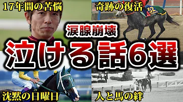 競馬 悲劇 騎手と名馬の感動エピソード シングンマイケル キーストン オグリキャップ 