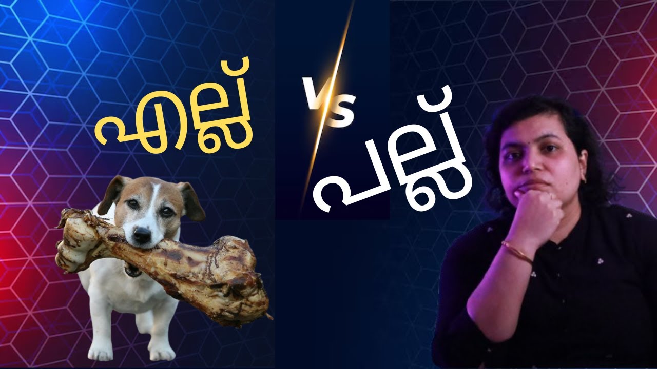 Why You Should NEVER Give Your Dog Bones: Hidden Dangers Revealed