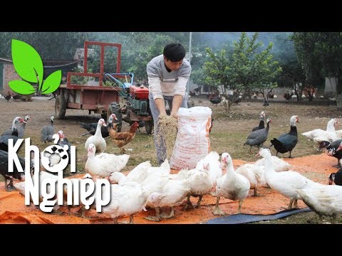 Video Chuyên gia chỉ cách cho nhà nông làm giàu với 300... - youtube