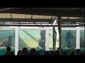 【セイウチ】ポウ、ぶぶ、そらのお食事タイム@鳥羽水族館