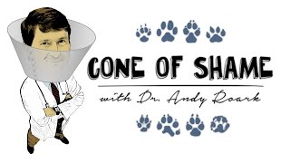 Cone of Shame | Channel Trailer