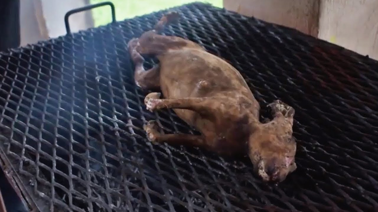 How to cook Rabbit Meat in Nigeria YouTube