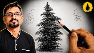 Pine Tree Drawing: Shading, Texture Practice, and Pressure Control