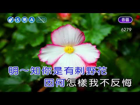 舊情綿綿~余天~男A調~伴奏~導唱(甲)