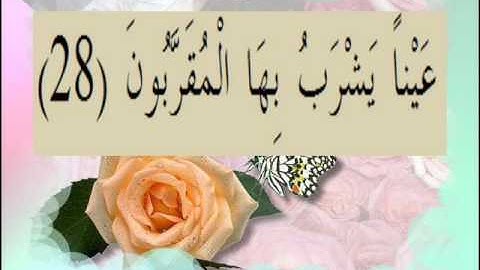 القران الكريم سورة المطففين الاية 28