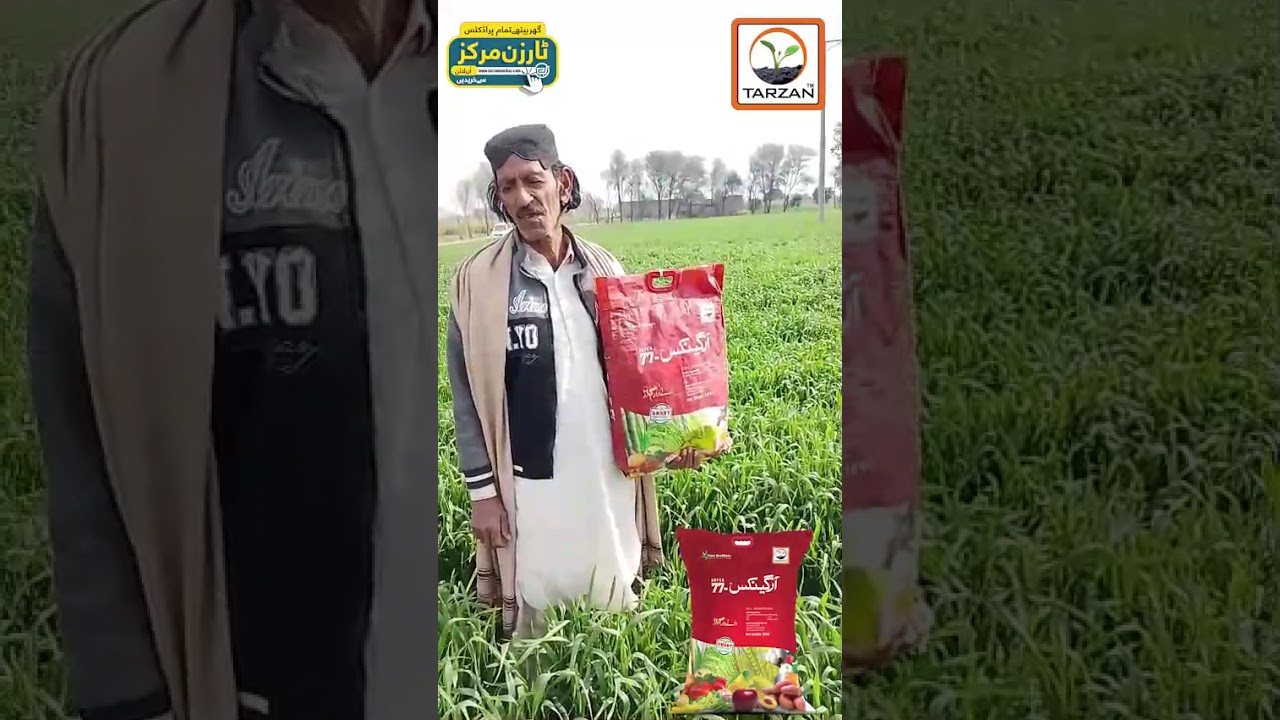 آرگینکس 77 سپر کے گندم کی فصل پر نتائج