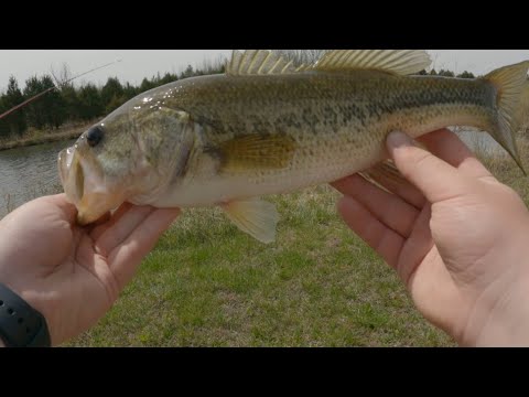 PreSpawn Bass Fishing!!!!!