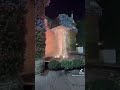 DUBAI MIRACLE GARDEN#youtubeshorts #contentcreator #fyp #beautifuldestinations #holidayseason