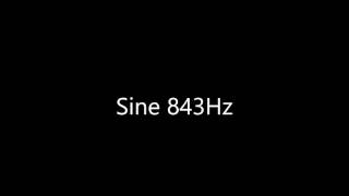 Sine 843Hz Audio Only