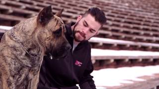 Fight Night Broomfield: Brandon Thatch - Puppy Love screenshot 4