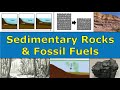 Sedimentary Rock Formation and Fossil Fuels Explained