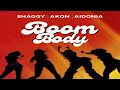Shaggy Akon Aidonia Boom Body