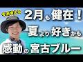 【2月の宮古島】冬に行くのはアリ！？2泊3日でわかった本音レビュー