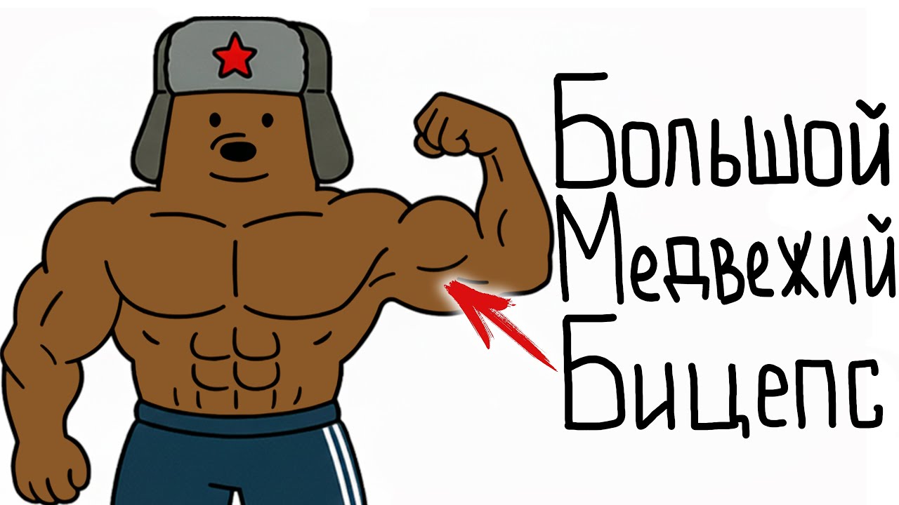 Как Накачать Мощный Медвежий Бицепс? 3 Лучших Упражнения!