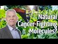 Afaya plus a gamechanging supplement to aid cancer treatment with jason west