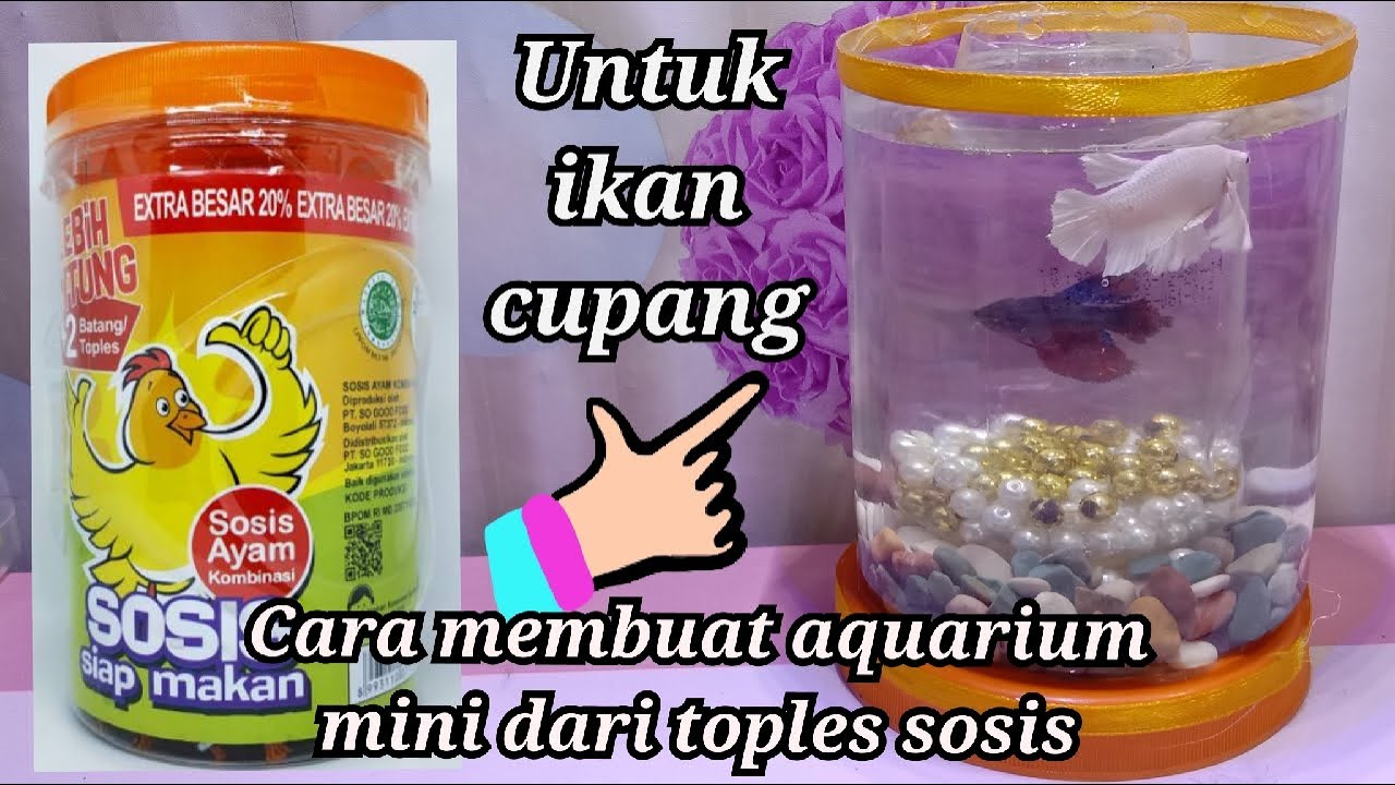 25 Cara Membuat Aquarium Dari Barang Bekas Untuk Ikan Cupang Youtube Cara membuat tutup aquarium dari barang bekas 25 Cara Membuat Aquarium Dari Barang Bekas Untuk Ikan Cupang Youtube Cara membuat tutup aquarium dari barang bekas