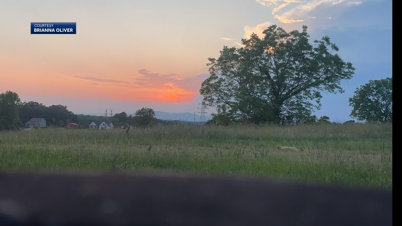 Woman Captures Video Of Large Cat In A South Carolina Field YouTube woman-captures-video-of-large-cat-in-a-south-carolina-field-youtube