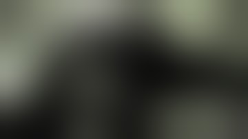 Fallout 3 // Live Let