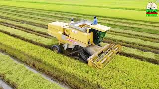 Mesin Padi Nh8060 Matjun Nh8080 Mat Nasir Rancak Tokak Padi Di Kg Pida 3½