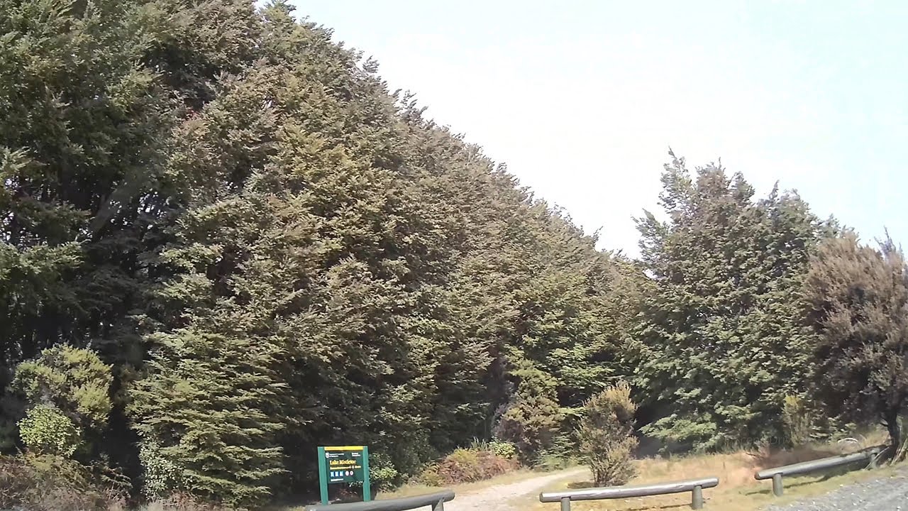 Driving from the Henry Creek DOC Campsite to Lake Mistletoe Carpark  | Southland | New Zealand | 4K