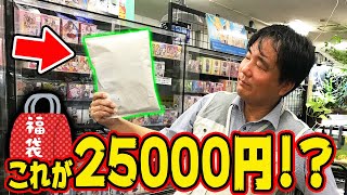 【闇を暴く】イラスト屋の画像だけのオークション詐欺説を検証したら店長が目覚めた
