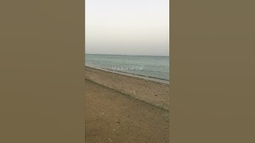 وَاللَّهُ يُحِبُّ الصَّابِرِينَ (146) | سورة آل عمران