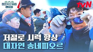 드디어 마주한 송네피오르! 웅장한 대자연에 갬동 한가득 받은 텐밖즈😭 #텐트밖은유럽노르웨이편 EP.2 | tvN 230518 방송