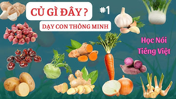 Dạy Bé Nhận Biết Các Loại rau củ quả 🌱🥦 | Dạy bé tập nói tiếng Việt 🧅🧄| Dạy trẻ thông minh sớm 🍠🥔