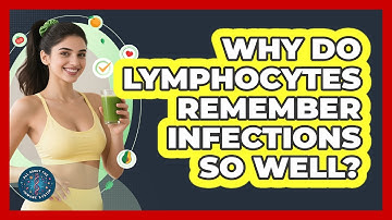 Why Do Lymphocytes Remember Infections So Well? - All About the Immune System